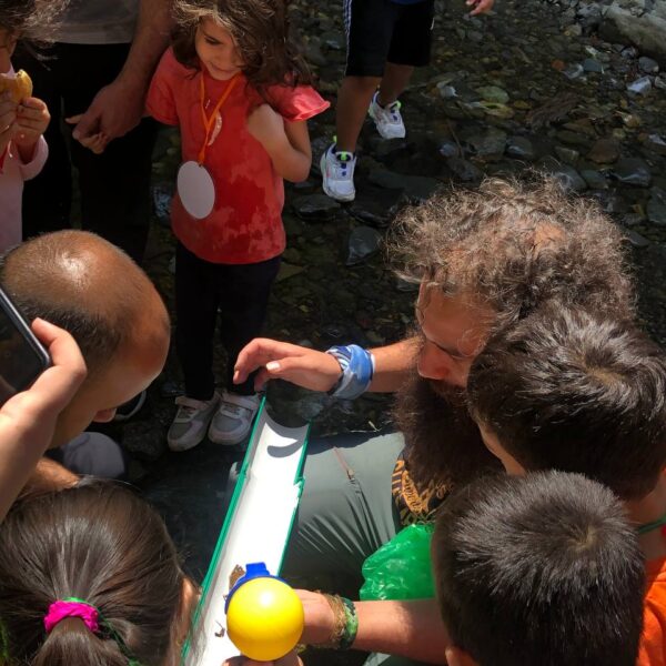 IMG_20240828_174005_529