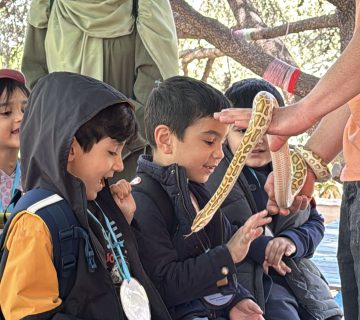 لمس خزندگان